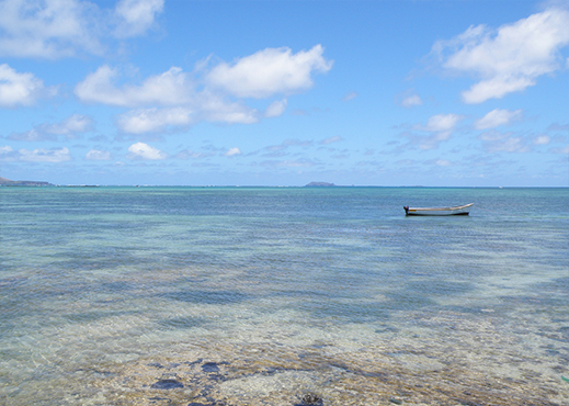 grand gaube mauritius